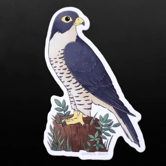 3 for $15 - Falcon Bird Sticker - Waterproof Vinyl Nature & Wildlife Decal - Picture 5 of 7